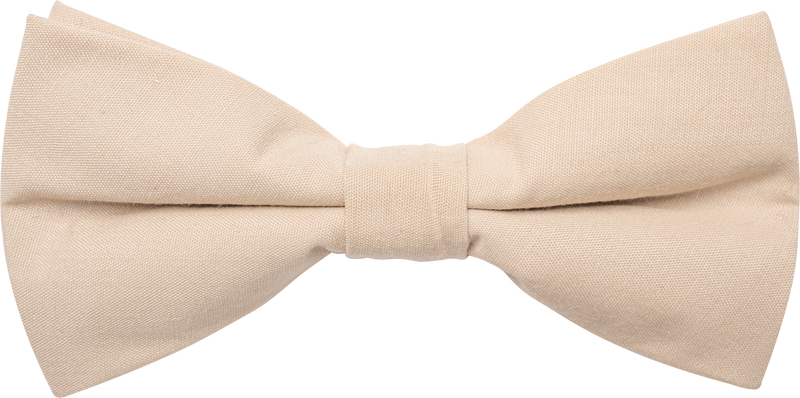 Set "Champagner" Fliege Einstecktuch Beige